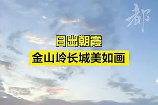 半岛先锋官网截图0